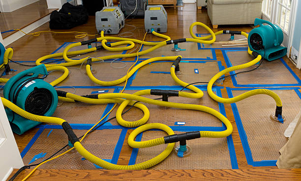 Professional Structural Drying And Dehumidification technician working in Indiantown, FL